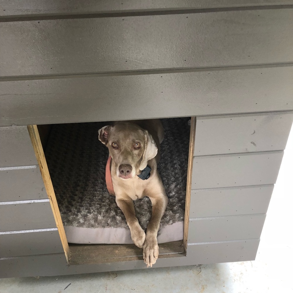 Meet your Posher, Lucas